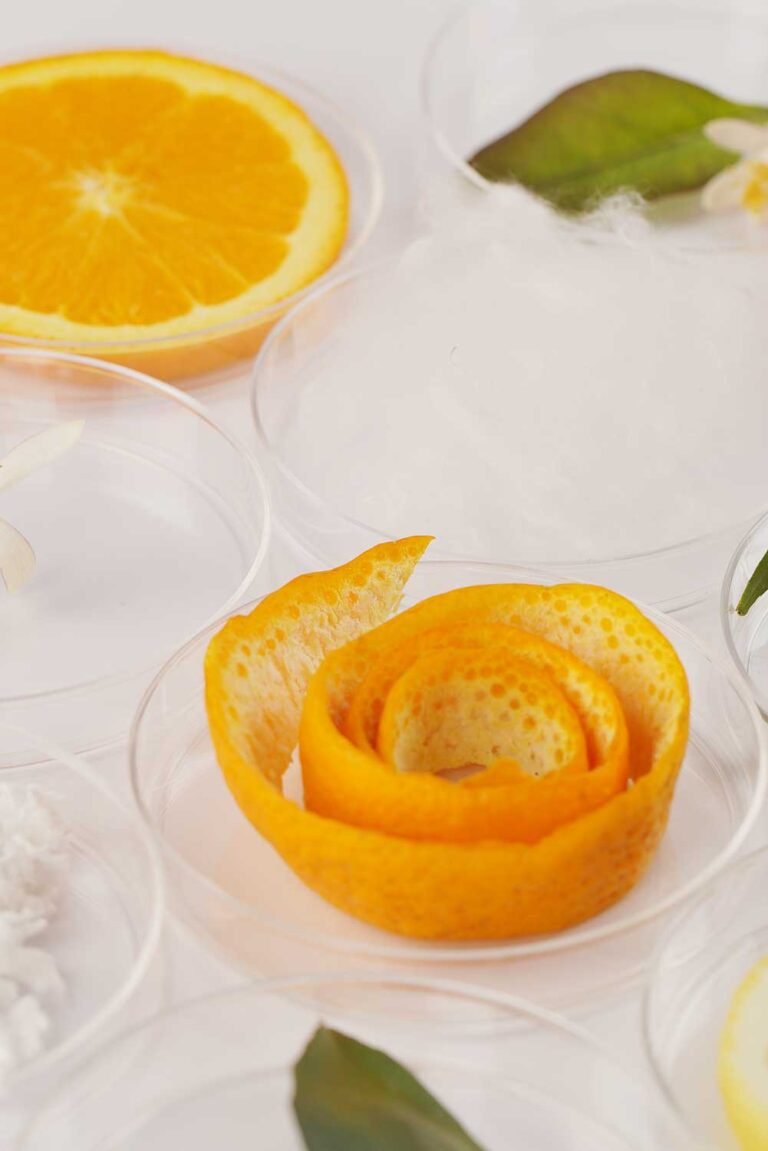 Who We Are Orange Fiber